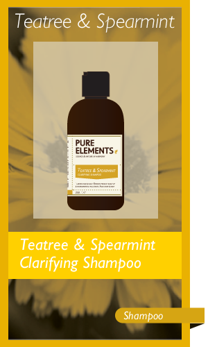 Tea Tree & Spearmint Clarifying Shampoo 250ml</