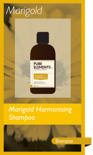 Marigold Harmonising Shampoo 