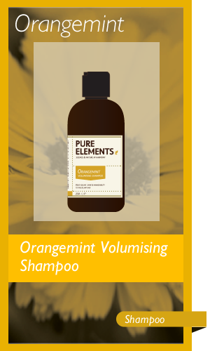 orangemint volumising shampoo